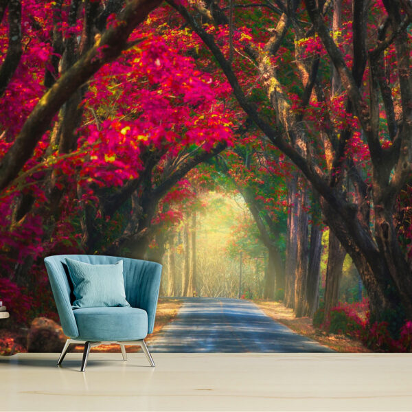 Road Nature Colorful Trees Autumn View Self-adhesive Vinyl Wallpaper